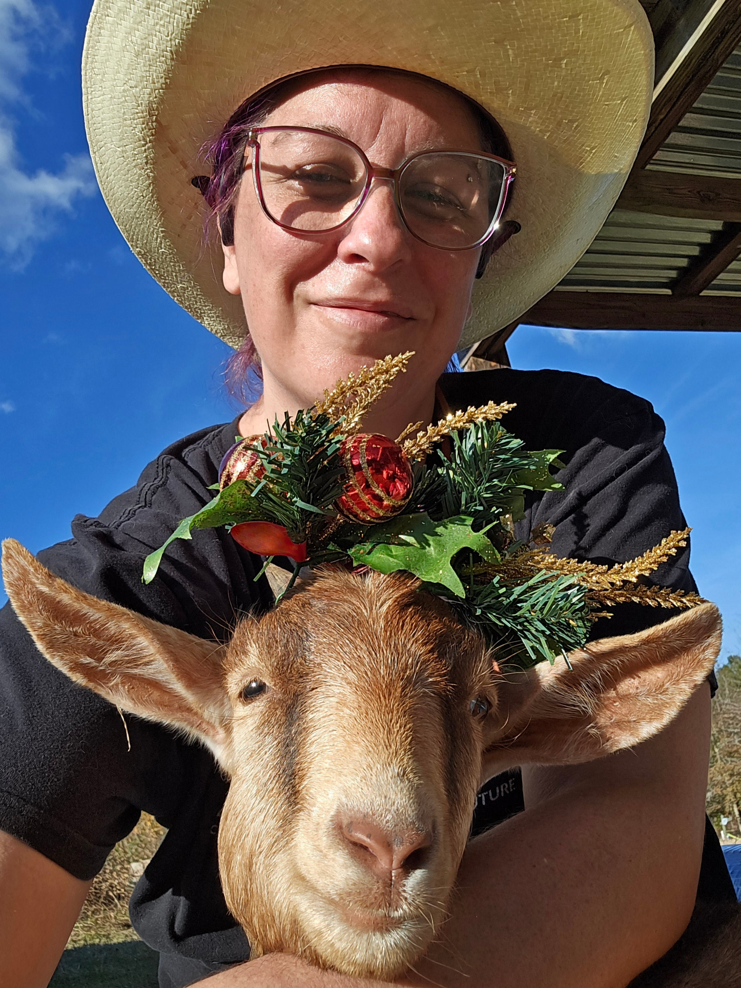 Sandy, a rescued goat